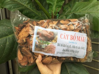 1kg cây bổ máu tăng cân (huyết đằng)