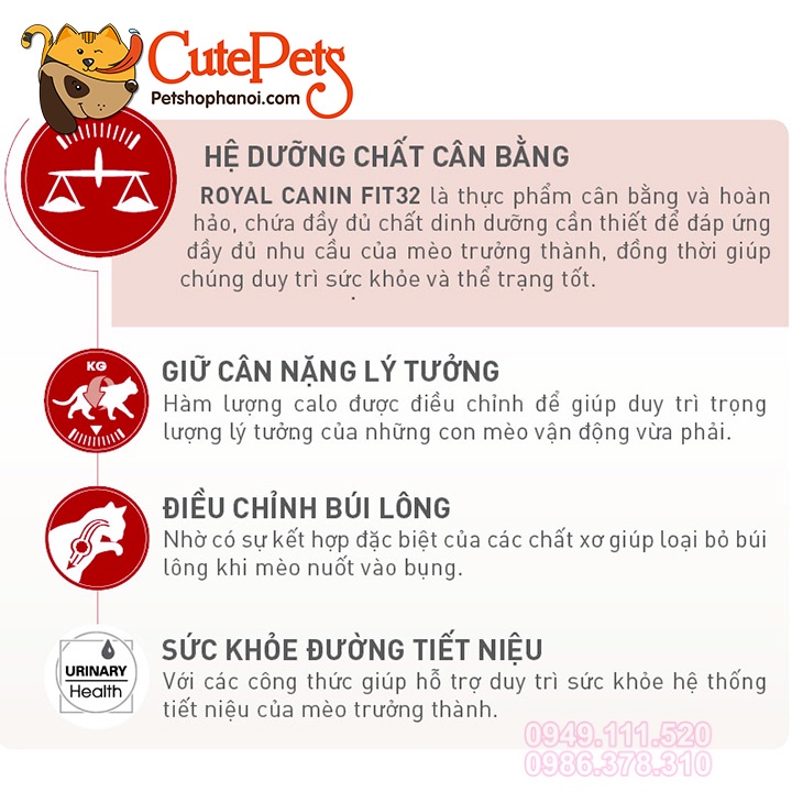 Hạt Royal Canin Fit 32 Thức ăn cho mèo trưởng thành cao cấp từ Pháp - Cutepets