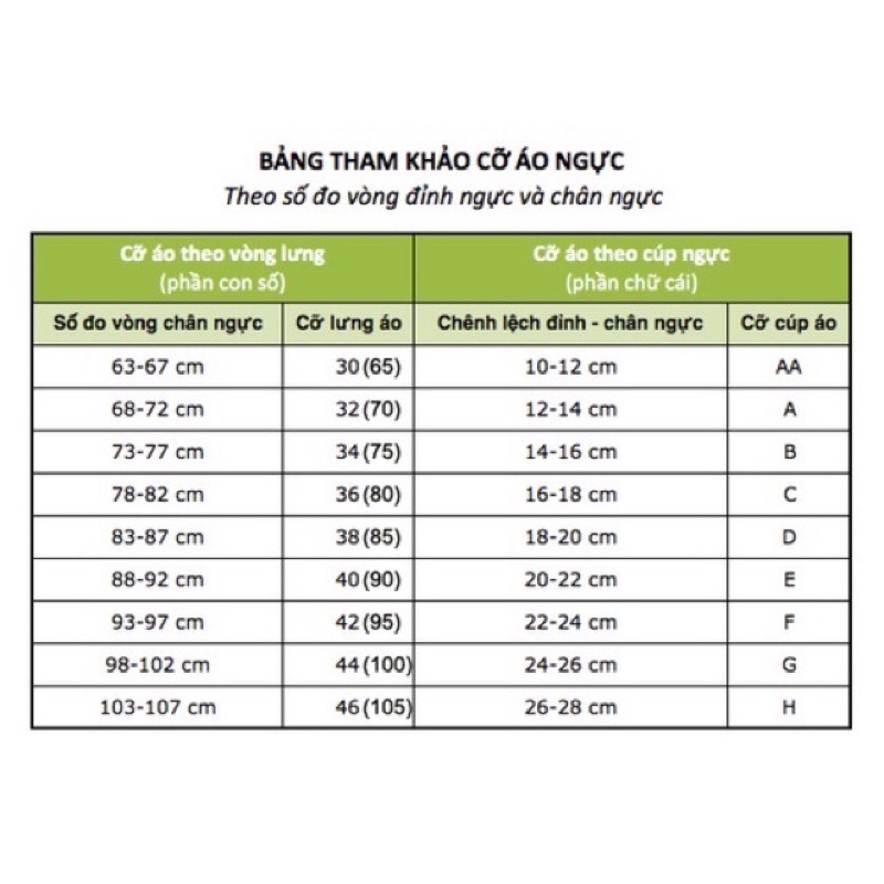Áo ngực ngang chống tuột phối ren mỏng không gọng thoải mái Trangshop17