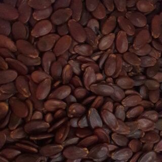 HẠT DƯA LOẠI ĐẶC BIỆT