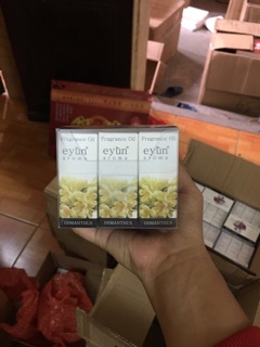 Bán sỉ tinh dầu thiên nhiên eyun aroma
