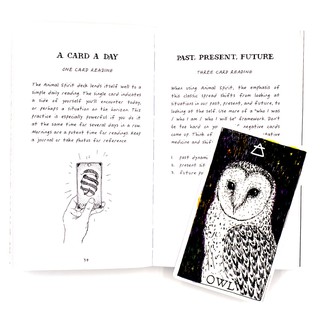 Bài Animal Spirit Deck and Guidebook