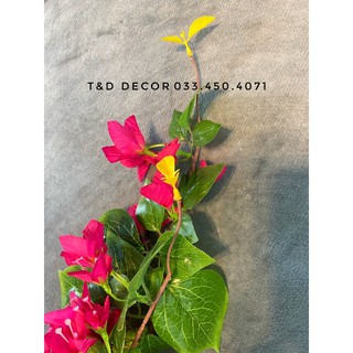 Hoa giấy- Hoa giả decor