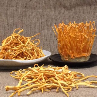 Hoa Đông Trùng hạ thảo khô 100g-ngon
