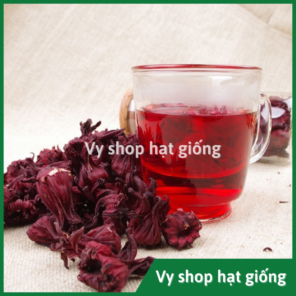 Hạt giống bụp giấm - Atiso đỏ  nhập Thái Lan nguyên gói 120 hạt