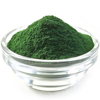 Tảo bột nuôi bobo và artemia sinh khối.