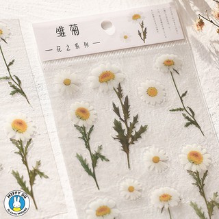 Bộ PET sticker HOA CỎ MÙA XUÂN