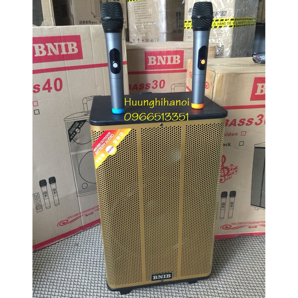 Loa karaoke di động, loa karaoke hát hayBNIB1297 bass 3 tấc,thùng gỗ,chạy điện trực tiếp 220v, 2 micro hút, chống hú tốt