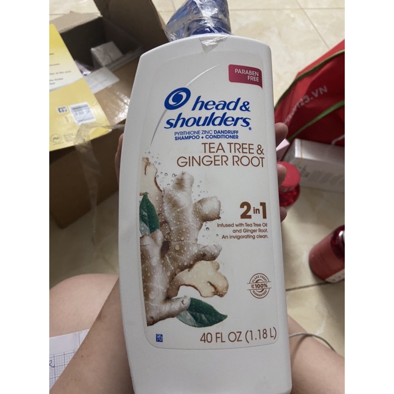 (Hàng Mỹ) Dầu gội gừng Head&Shoulders 2in1