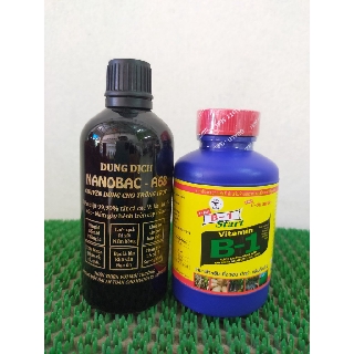 Combo B1 Thái kích rễ + Dung dịch NaNo bạc A68 - Sat khuẩn , trị nấm , thối nhũn , vàng lá , rỉ sắt