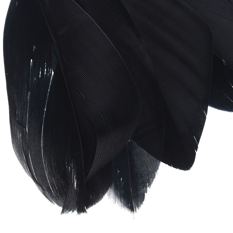 1 khuyên kẹp vành tai hình lông vũ độc đáo