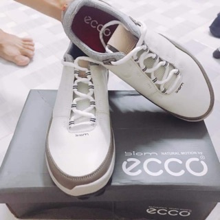 Giầy golf Ecco hàng đẹp