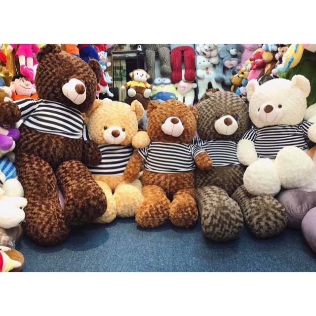 Gấu bông teddy 1m5 size lớn, thú nhồi bông khổng lồ