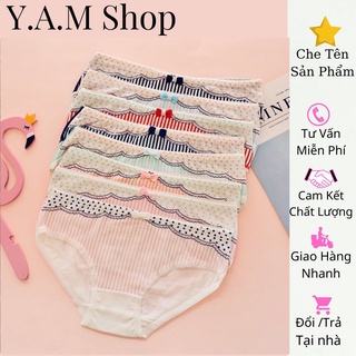 Quần lót nữ đẹp - quần Chip cotton giá rẻ , họa tiết nơ xinh xắn (Set 4 Chiếc)- Đồ Lót nữ dễ thương | YAM_shop