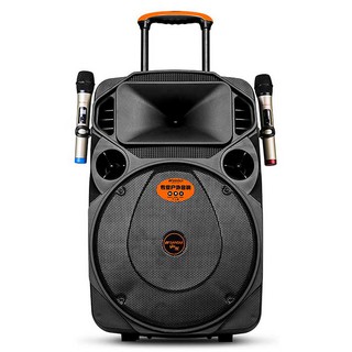Loa kéo di động sansui a8-21