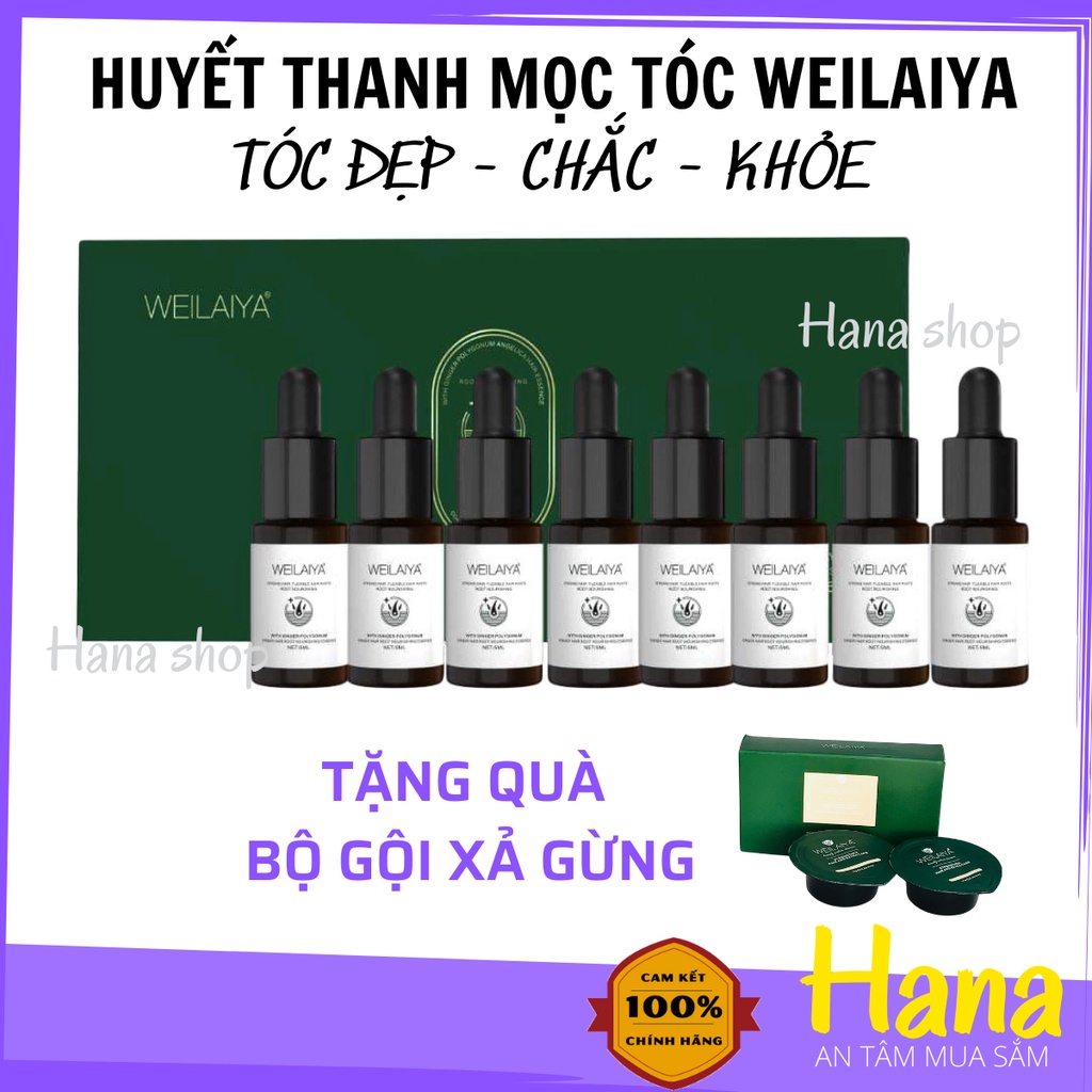 [Tặng dầu gội xả gừng] Huyết thanh serum mọc tóc Weilaiya, kích mọc, ngăn rụng