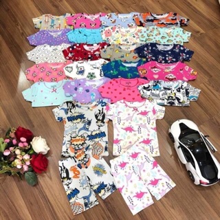 Combo bộ bozip cotton