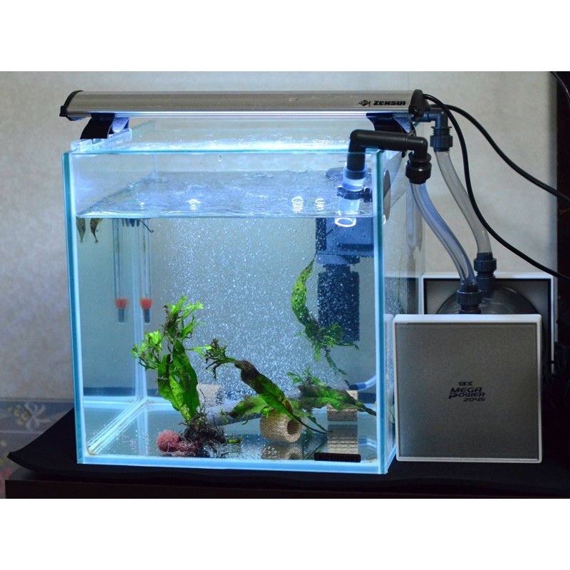 Lọc thùng mini Gex 2045 siêu đẹp cho hồ cá tép thuỷ sinh loại nhỏ