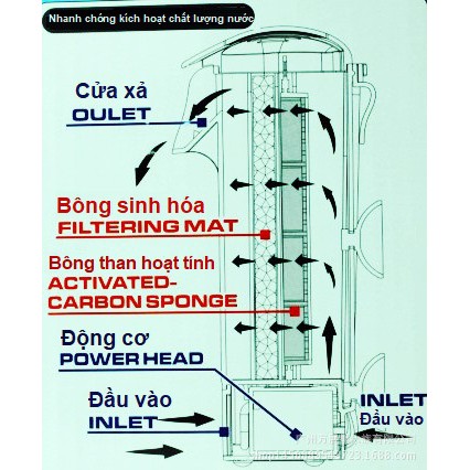 Bộ lọc kép bể rùa Pokémon