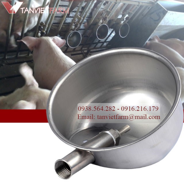 Máng uống tự động cho heo bằng inox size 17 cm