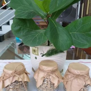 MUỐI VỪNG DINH DƯỠNG TỪ HẠT HỮU CƠ