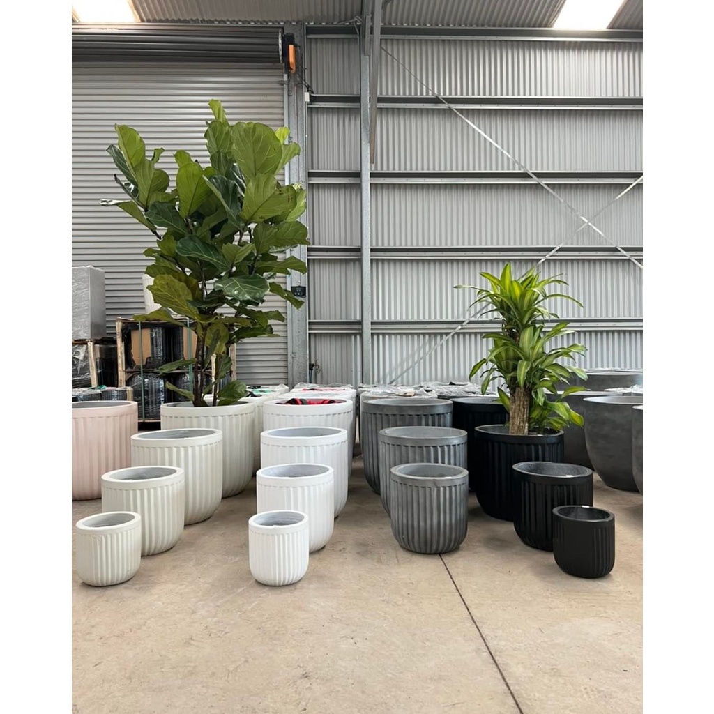 Chậu trồng cây xi măng DT034