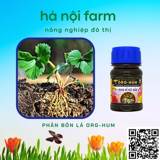 ORG HUM - Bung Rễ, Bật Mầm (chai 100ml)