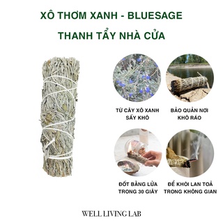 Blue Sage thanh tẩy và đốt thơm nhà