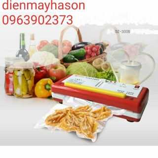 Máy hút chân không gia đình DZ-300B