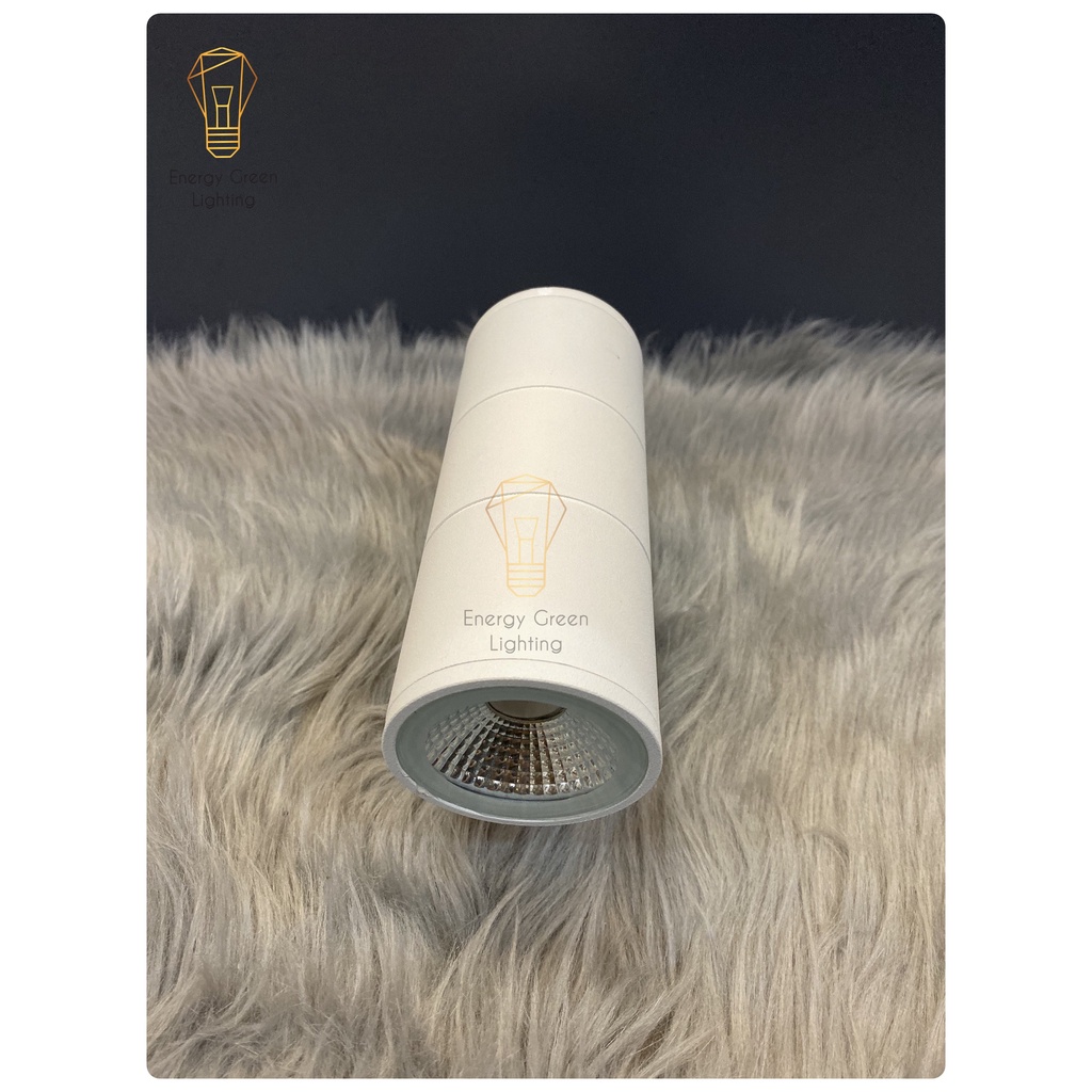 Đèn led gắn Energy Green Lighting tường hình trụ TN916 10w - Ánh sáng vàng Chống nước ngoài trời - Loại to 26x9cm