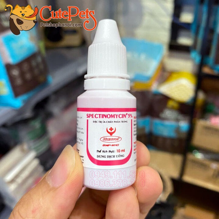 [Mã 254FMCGSALE giảm 8% đơn 500K] Đặc trị tiêu chảy Spectinomycin 5% 10ml dạng siro ngọt - CutePets