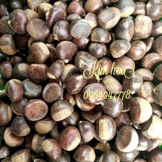 Hạt dẻ tươi bb