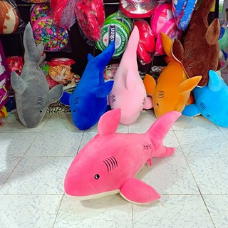 CÁ MẬP NHỒI BÔNG