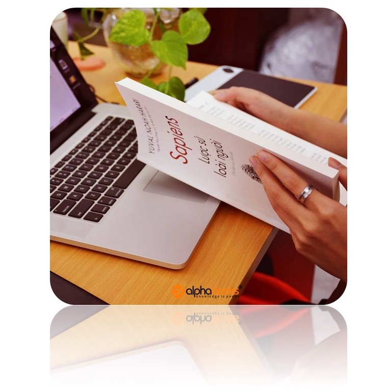 Sách - Sapiens Lược Sử Loài Người (Tái Bản Mới Nhất)
