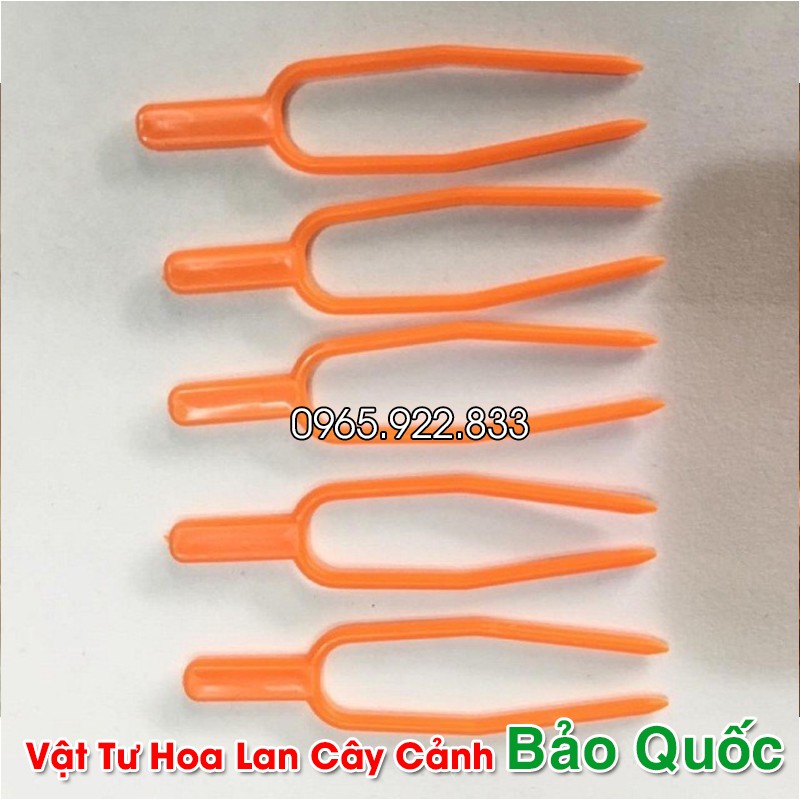 Ghim cố định Kie  cho Hoa Lan