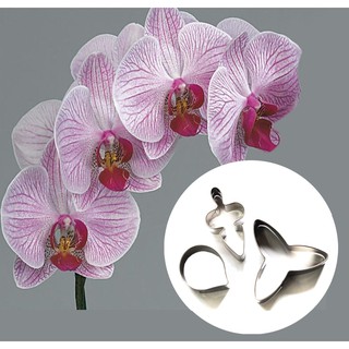 KHUÔN HOA LAN HỒ ĐIỆP ĐƠN HỌC LÀM HOA ĐẤT SÉT, HOA ĐƯỜNG, XÔI HOA ĐẬU