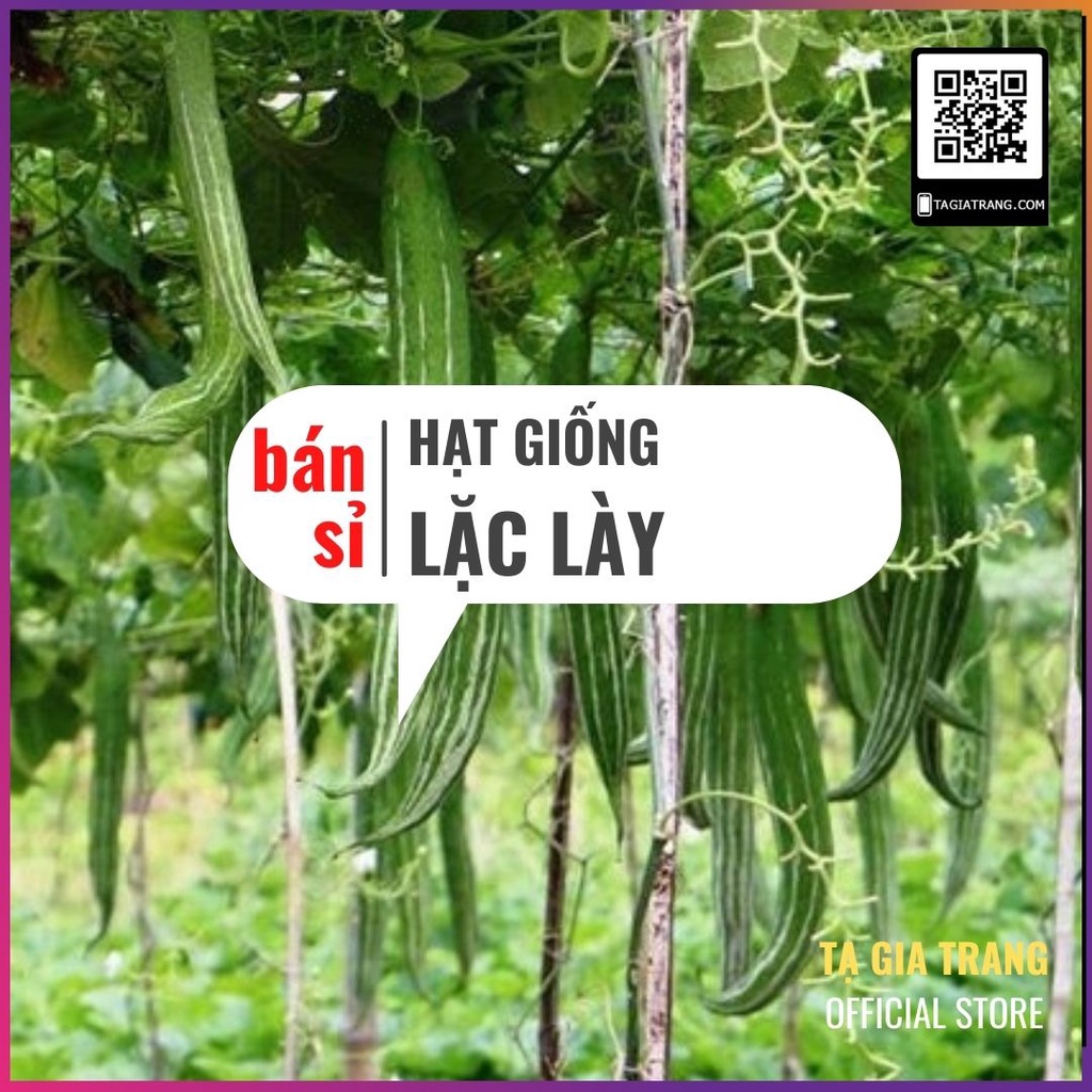 [Bán sỉ] - Hạt giống lặc lày (lặc lè - mướp nhật)
