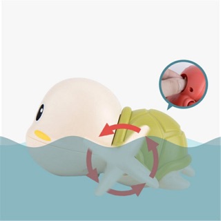 Rùa bơi chậu nước