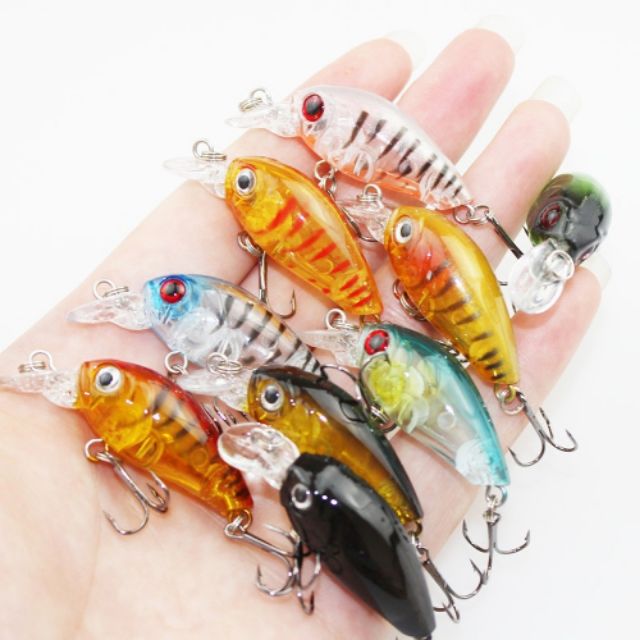 Mồi ruồi câu lure
