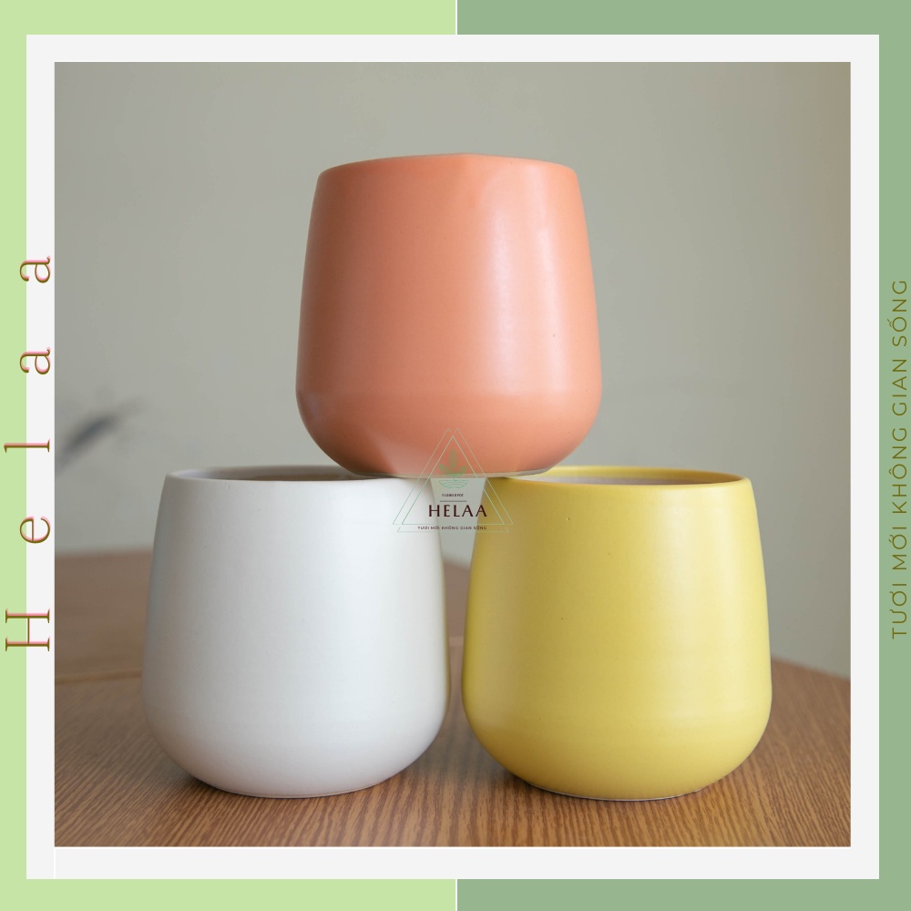 Chậu Sứ Trồng Cây Quả Lê Để Bàn, Chậu Trồng Sen Đá, Xương Rồng, Trang Trí Bàn Làm Việc Văn Phòng (11x13cm)