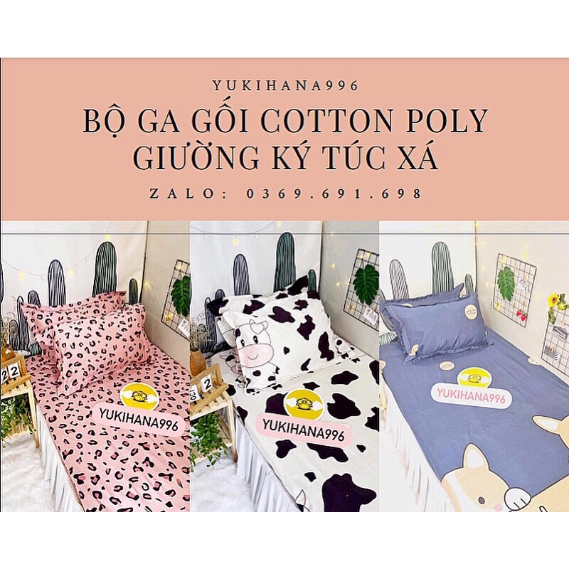 Combo bộ ga gối cotton poly đủ kích thước cho giường kí túc xá!