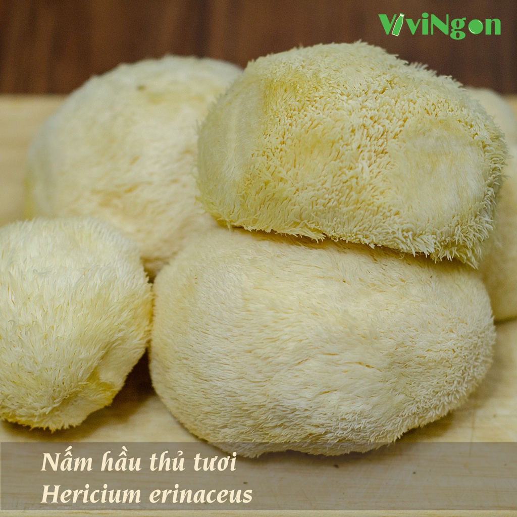 Nấm hầu thủ (nấm đầu khỉ) khô 100g - ViviNgon - Bảo vệ dạ dày, hỗ trợ tiêu hóa