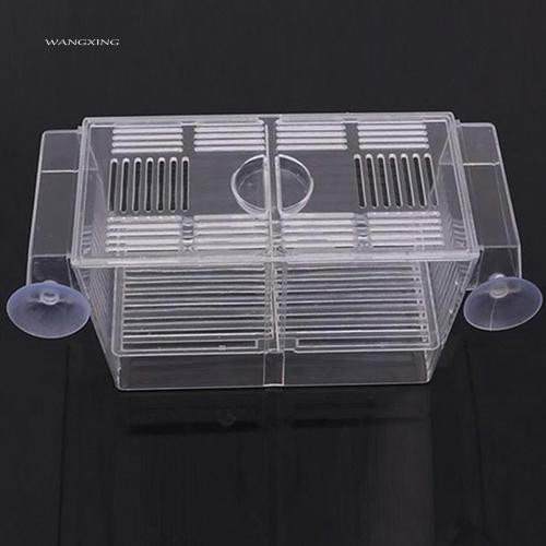 Hộp nhựa acrylic trong suốt 2 tầng nuôi cá ngăn chia tiện lợi