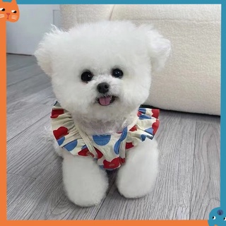 Quần áo thú cưng cho chó Mùa hè Phong cách mới Váy ren hoa nhỏ Teddy Bichon Cat Vest