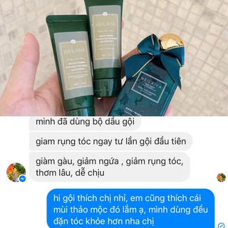 [HÀNG CTY CÓ TEM VAT] Bộ Sản Phẩm Weilai.y.a Gừng - ALISA