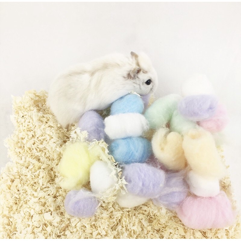 Gòn candy dream lót chuồng cho Hamster