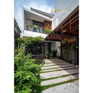 Cây 🌲 Cúc Tầng Ấn Độ