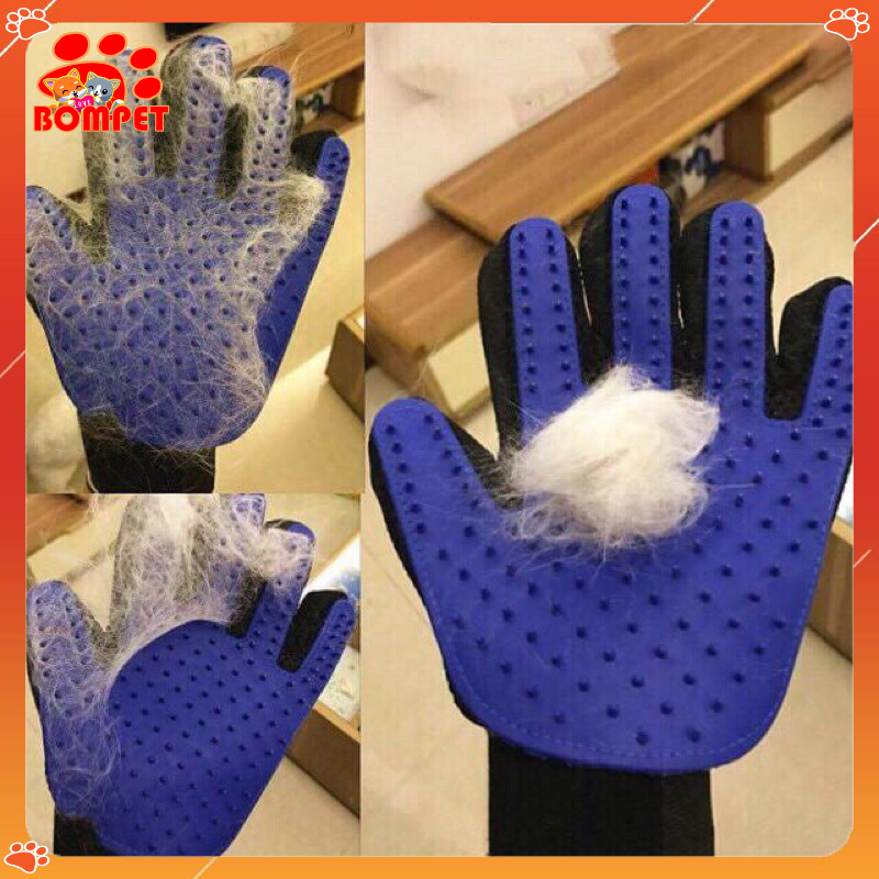 Gang tay chải lông massage cho chó mèo