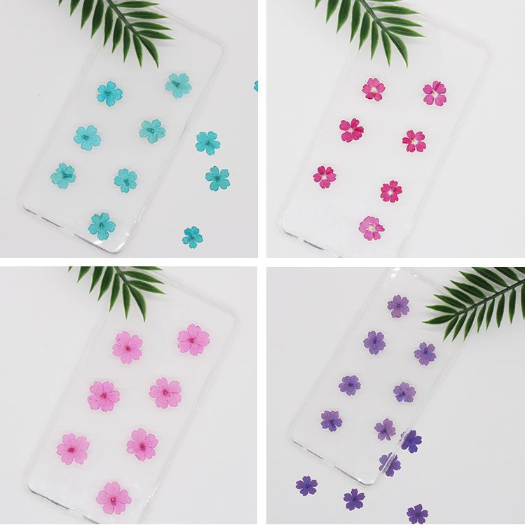 12pcs beauty sakura dried flower embossing material wholesale DIY handmade glue phone case real flower nail face decal decoration