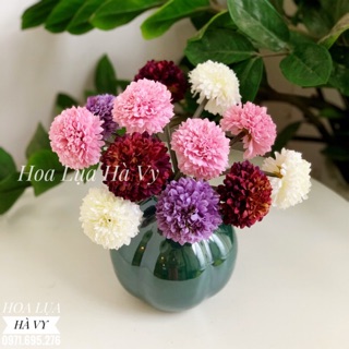 Hoa lụa | hoa tramia